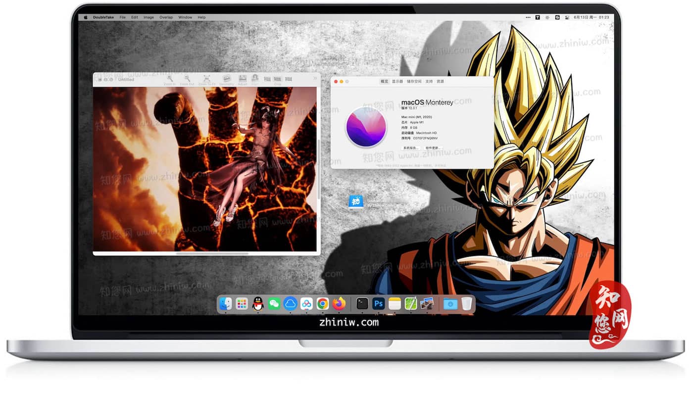 DoubleTake Mac软件下载免费尽在知您网
