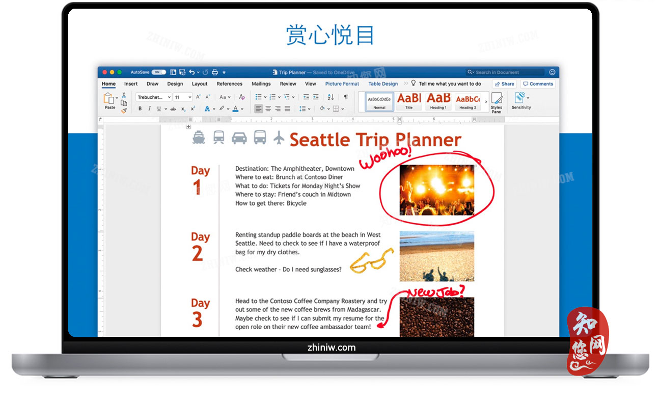 Mac microsoft office 破解 版