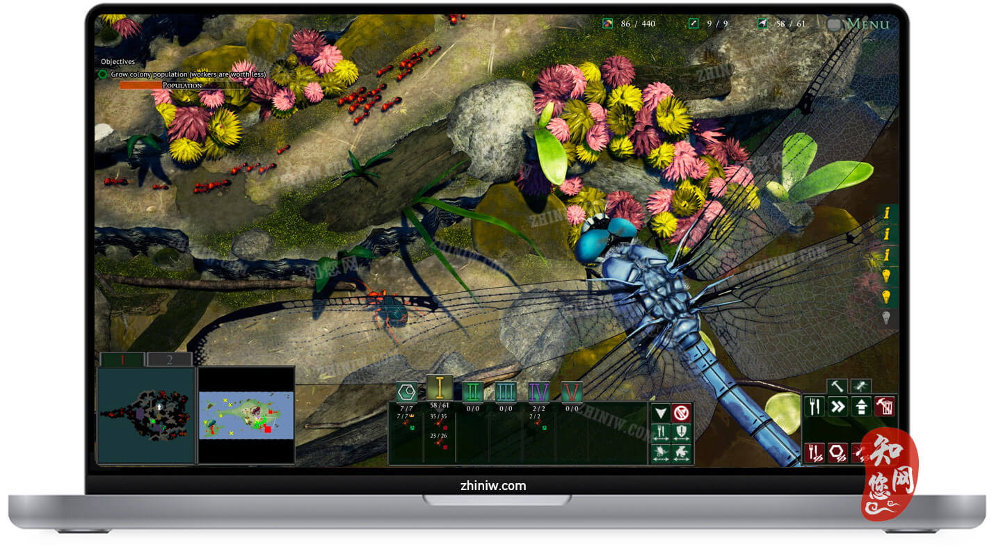 地下蚁国Empires of the Undergrowth for Mac游戏下载免费尽在知您网