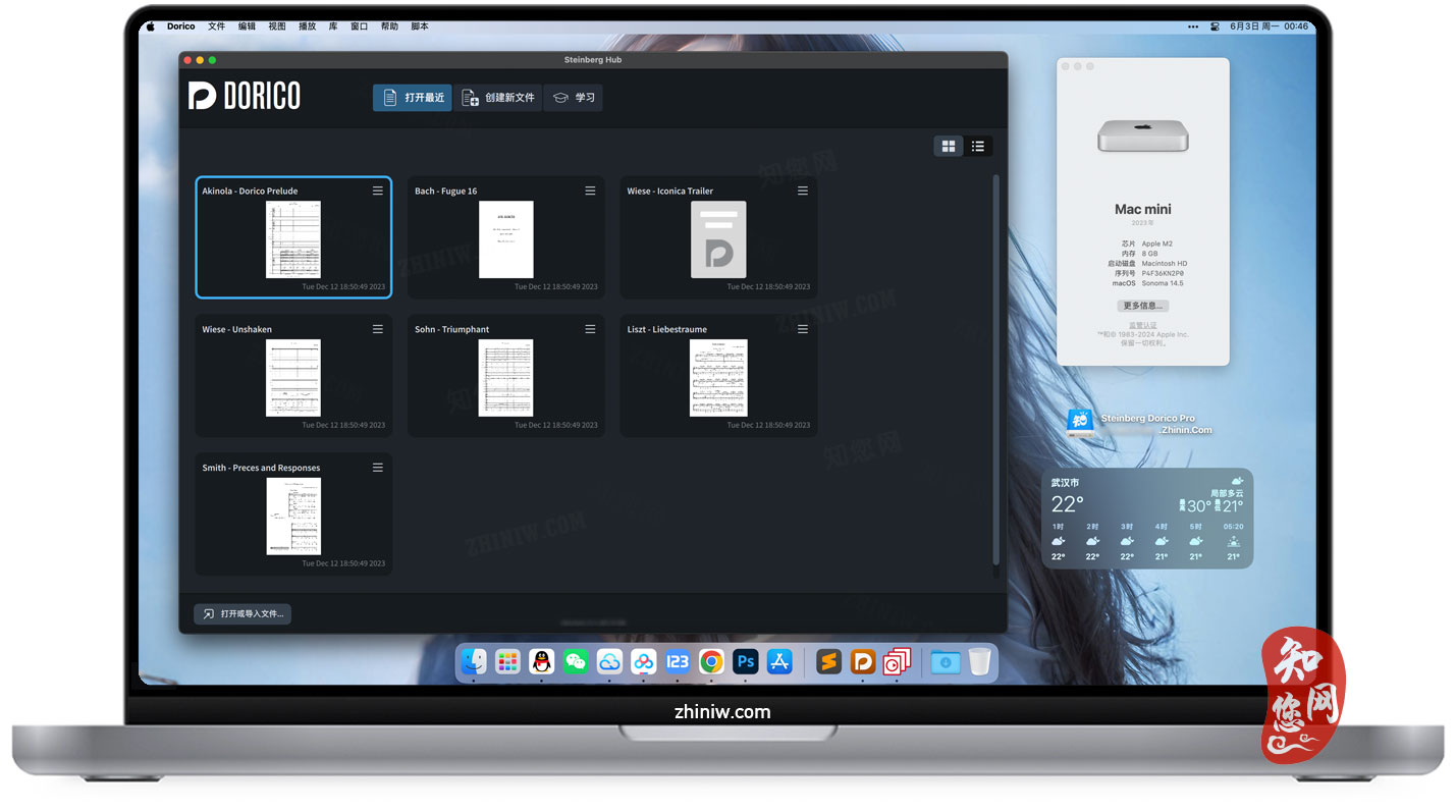 Steinberg Dorico Pro Mac破解版下载免费尽在知您网