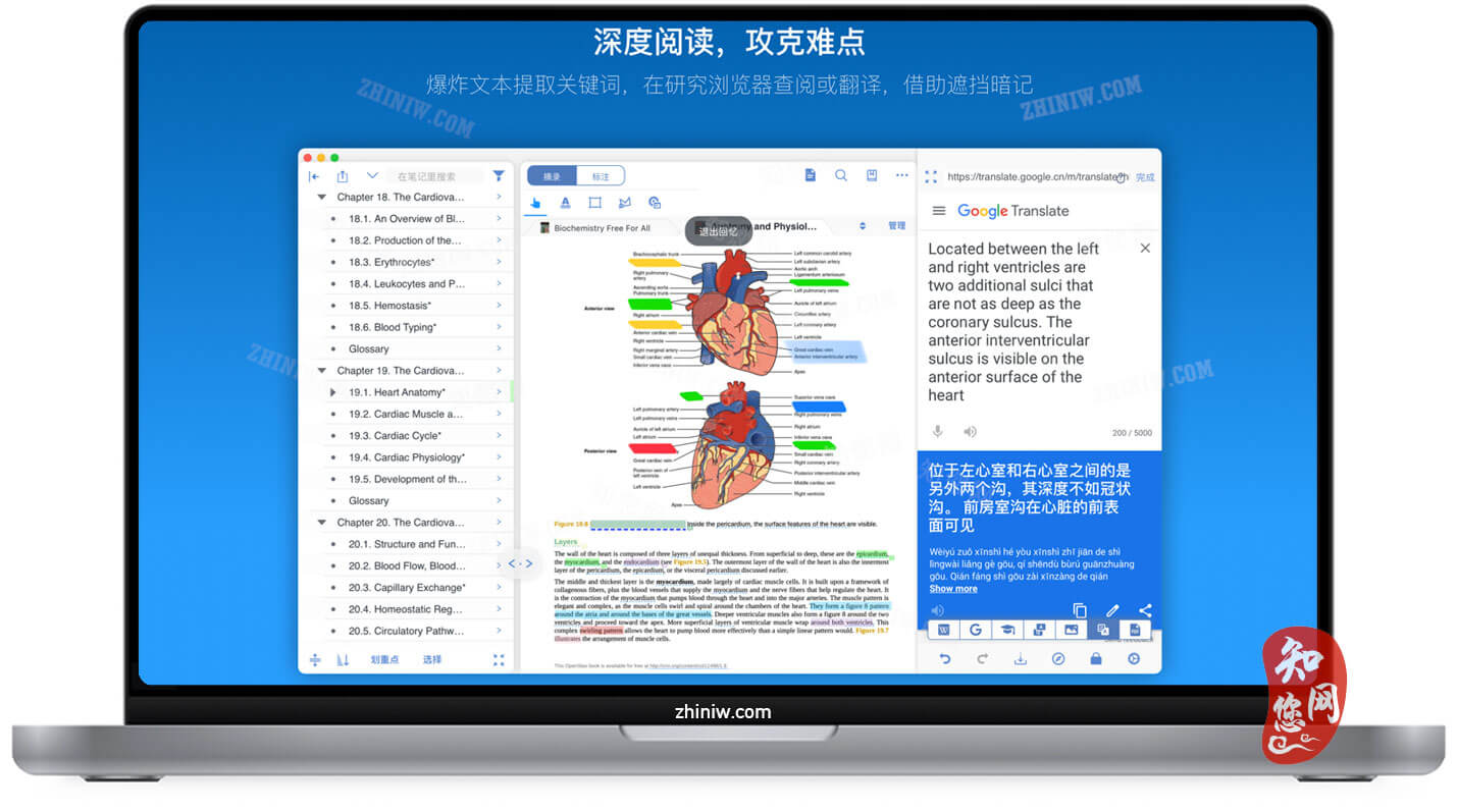 MarginNote 3 Mac软件下载免费尽在知您网