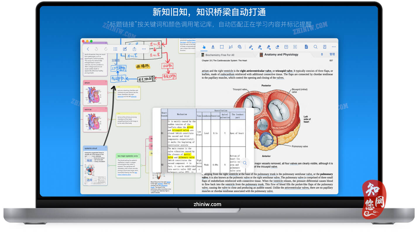 MarginNote 3 Mac软件下载免费尽在知您网