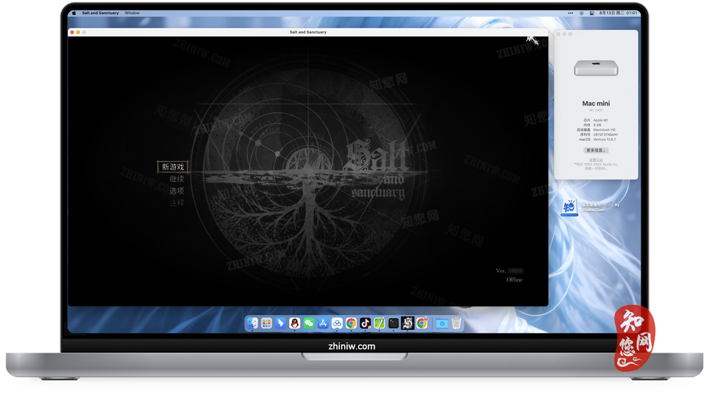 盐和避难所 Salt and Sanctuary Mac游戏下载免费尽在知您网