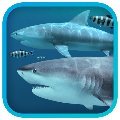 Sharks 3D Mac版 3D海底鲨鱼动态桌面壁纸